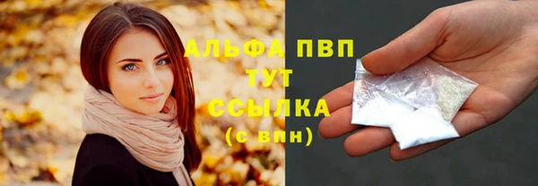 apvp Алзамай