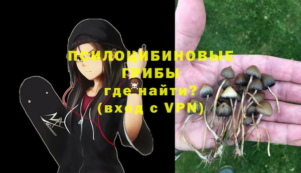 apvp Алзамай