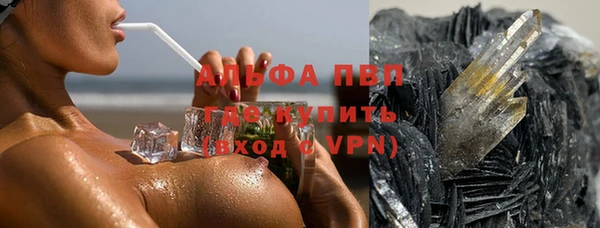apvp Алзамай