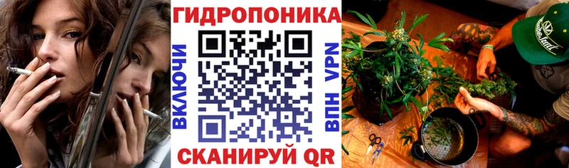 что такое наркотик Бирюч Канабис ГИДРОПОН